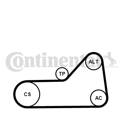 CONTINENTAL CTAM 6PK1153WP2 Water Pump + V-Ribbed Belt Kit