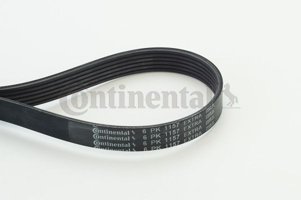 CONTINENTAL CTAM 6PK1157 EXTRA V-Ribbed Belt