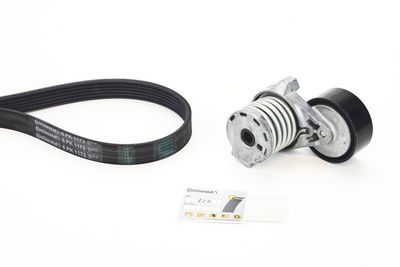 V-ribbed Belt Set CONTINENTAL CTAM 6PK1173K3