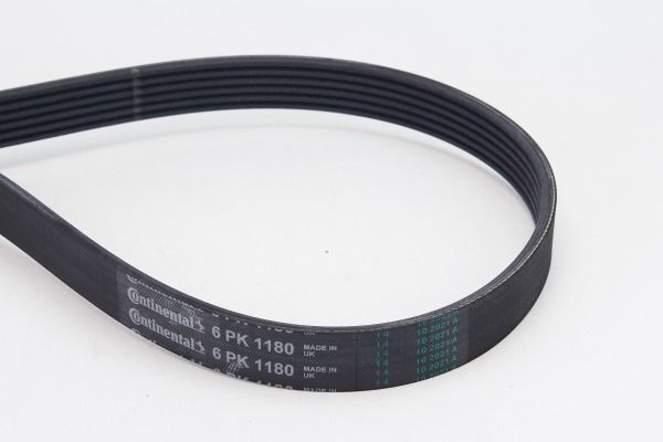 CONTINENTAL CTAM 6PK1180 V-Ribbed Belt