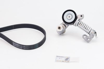 V-Ribbed Belt Set CONTINENTAL CTAM 6PK1180K4
