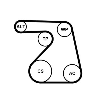CONTINENTAL CTAM 6PK1217K2 V-Ribbed Belt Set