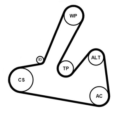 V-ribbed Belt Set CONTINENTAL CTAM 6PK1250K1