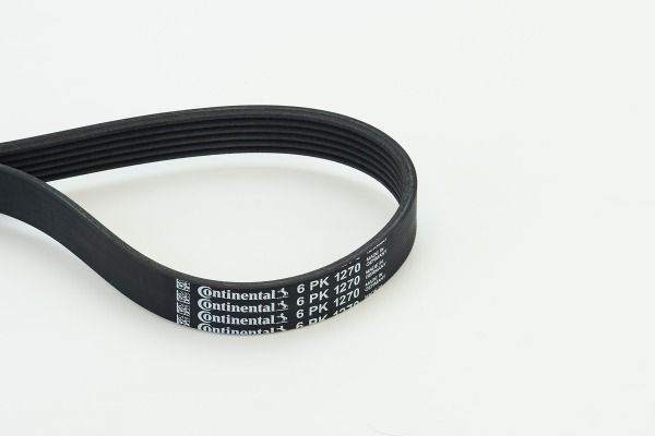CONTINENTAL CTAM 6PK1270 V-Ribbed Belt
