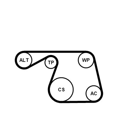 CONTINENTAL CTAM 6PK1310K1 V-Ribbed Belt Set