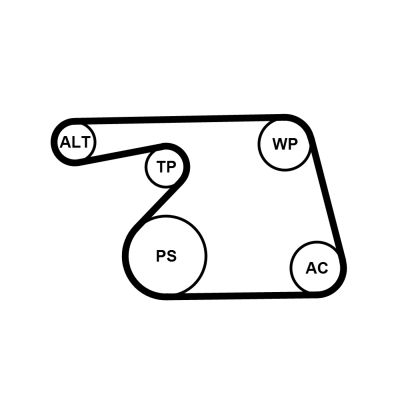 Water Pump + V-Ribbed Belt Kit CONTINENTAL CTAM 6PK1318WP1