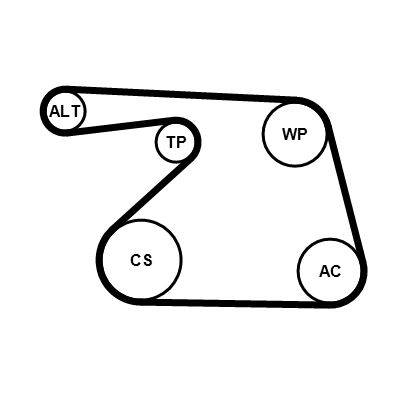CONTINENTAL CTAM 6PK1325K1 V-ribbed Belt Set