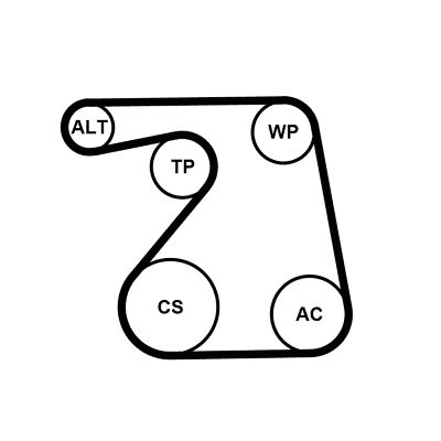 Water Pump + V-Ribbed Belt Kit CONTINENTAL CTAM 6PK1360WP1