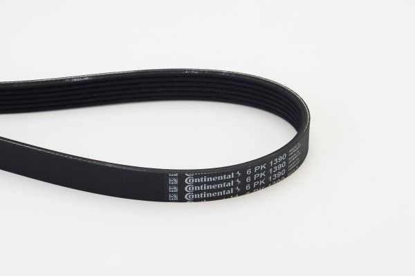 CONTINENTAL CTAM 6PK1390 V-Ribbed Belt