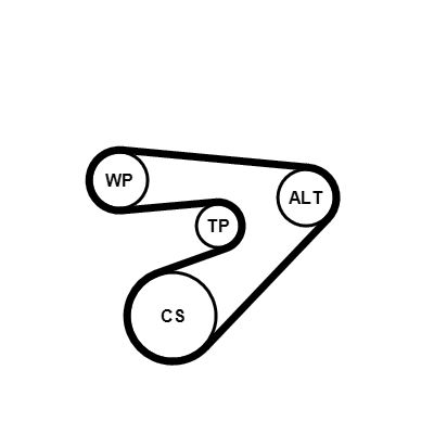 CONTINENTAL CTAM 6PK1453K2 V-Ribbed Belt Set