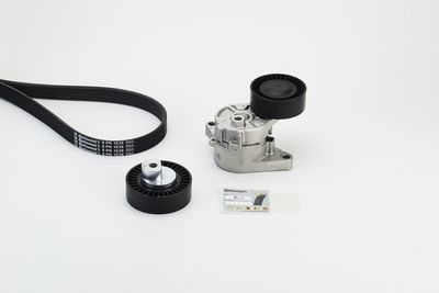 V-Ribbed Belt Set CONTINENTAL CTAM 6PK1538K1