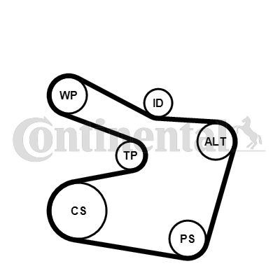 CONTINENTAL CTAM 6PK1538WP2 Water Pump + V-Ribbed Belt Kit