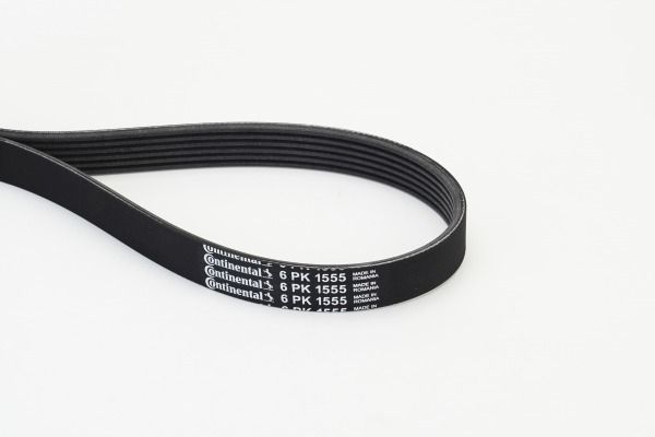 CONTINENTAL CTAM 6PK1555 V-Ribbed Belt