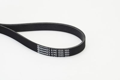 V-Ribbed Belt CONTINENTAL CTAM 6PK1555