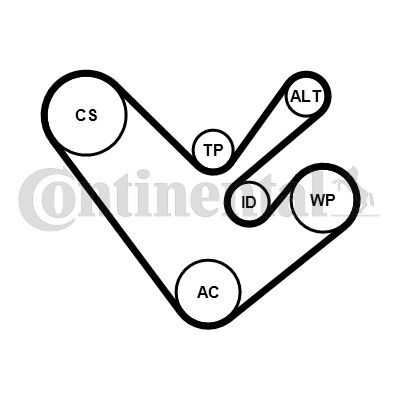 CONTINENTAL CTAM 6PK1555K4 V-Ribbed Belt Set
