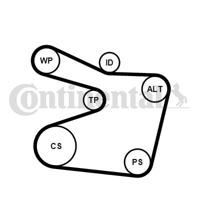 CONTINENTAL CTAM 6PK1555WP1 Water Pump + V-Ribbed Belt Kit