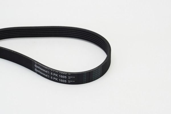 CONTINENTAL CTAM 6PK1605 V-Ribbed Belt