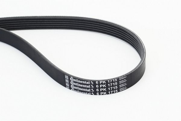 CONTINENTAL CTAM 6PK1715 V-Ribbed Belt