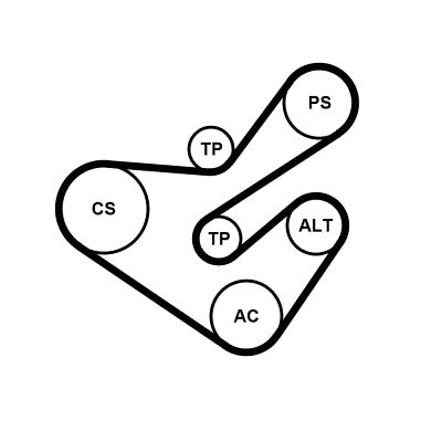CONTINENTAL CTAM 6PK1733K5 V-Ribbed Belt Set
