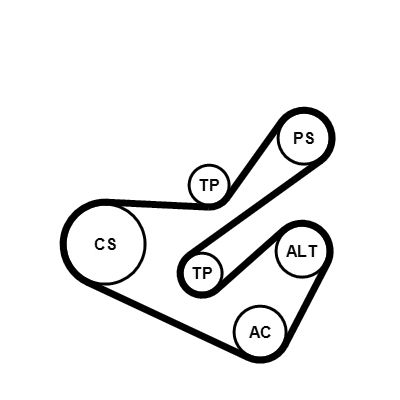 CONTINENTAL CTAM 6PK1740K1 V-Ribbed Belt Set