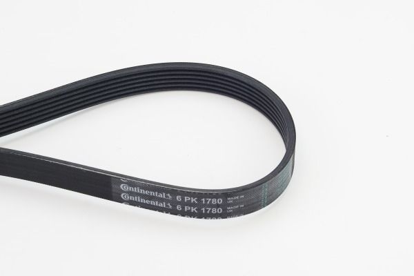 CONTINENTAL CTAM 6PK1780 V-Ribbed Belt