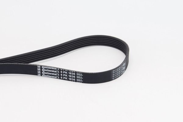 CONTINENTAL CTAM 6PK1836 V-Ribbed Belt
