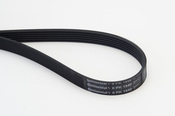 CONTINENTAL CTAM 6PK1840 V-Ribbed Belt