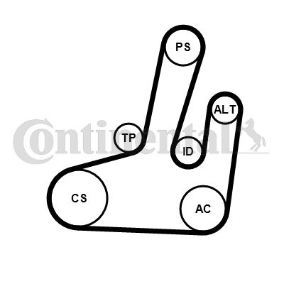 CONTINENTAL CTAM 6PK1845K1 V-Ribbed Belt Set