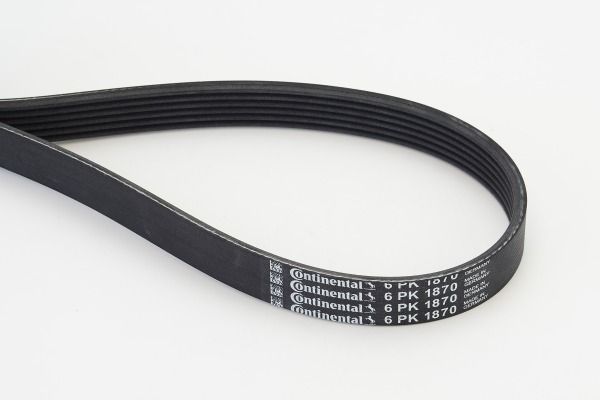 CONTINENTAL CTAM 6PK1870 V-Ribbed Belt