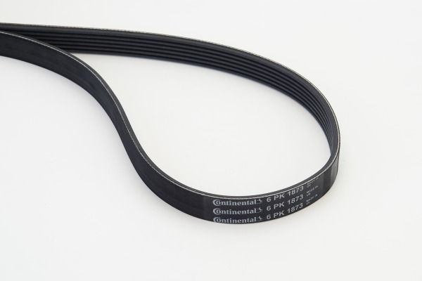 CONTINENTAL CTAM 6PK1873 V-Ribbed Belt