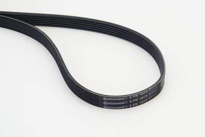 V-Ribbed Belt CONTINENTAL CTAM 6PK1873
