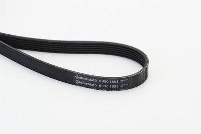 V-Ribbed Belt CONTINENTAL CTAM 6PK1893