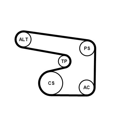 CONTINENTAL CTAM 6PK1900K1 V-Ribbed Belt Set