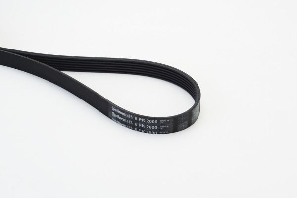 CONTINENTAL CTAM 6PK2000 V-Ribbed Belt