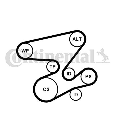 Water Pump + V-Ribbed Belt Kit CONTINENTAL CTAM 6PK2080WP2