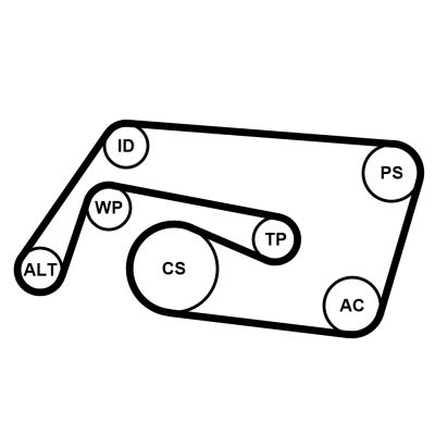 CONTINENTAL CTAM 6PK2260K2 V-Ribbed Belt Set