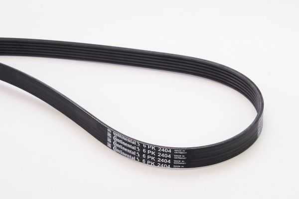 CONTINENTAL CTAM 6PK2404 V-Ribbed Belt