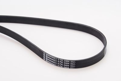 V-Ribbed Belt CONTINENTAL CTAM 6PK2404