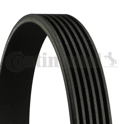 CONTINENTAL CTAM 6PK780 ELAST V-Ribbed Belt