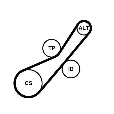 CONTINENTAL CTAM 6PK800K2 V-Ribbed Belt Set