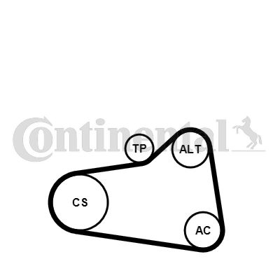 CONTINENTAL CTAM 6PK905 EXTRA K1 V-Ribbed Belt Set