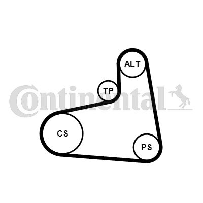 CONTINENTAL CTAM 6PK906K3 V-Ribbed Belt Set