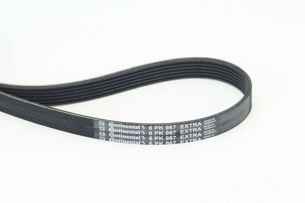 CONTINENTAL CTAM 6PK967 EXTRA V-Ribbed Belt