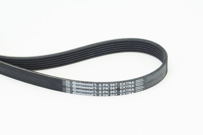 V-Ribbed Belt CONTINENTAL CTAM 6PK967 EXTRA