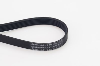 V-Ribbed Belt CONTINENTAL CTAM 6PK976