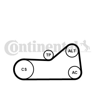 CONTINENTAL CTAM 6PK976WP2 Water Pump + V-Ribbed Belt Kit