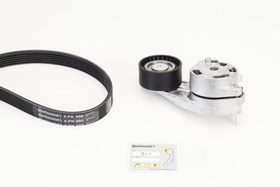 V-Ribbed Belt Set CONTINENTAL CTAM 6PK986K1