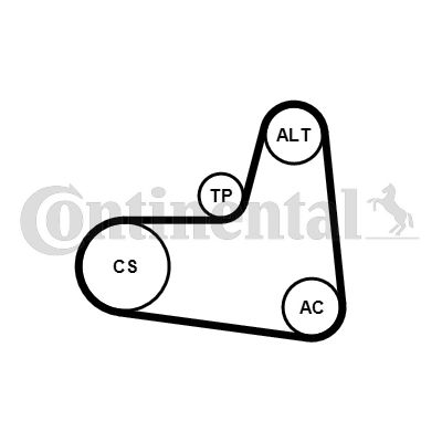 CONTINENTAL CTAM 6PK995K1 V-Ribbed Belt Set
