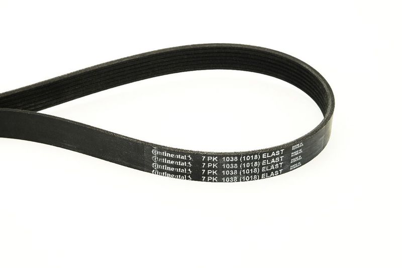CONTINENTAL CTAM 7PK1038 ELAST V-ribbed Belt