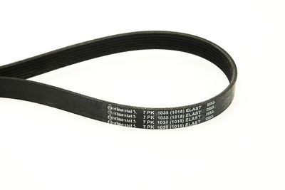 V-ribbed Belt CONTINENTAL CTAM 7PK1038 ELAST